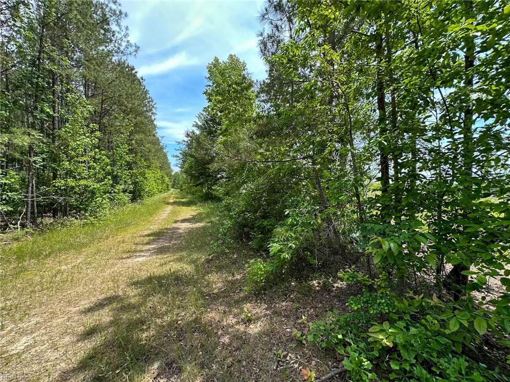 145ac Moore's Ferry Rd Property Photo 26