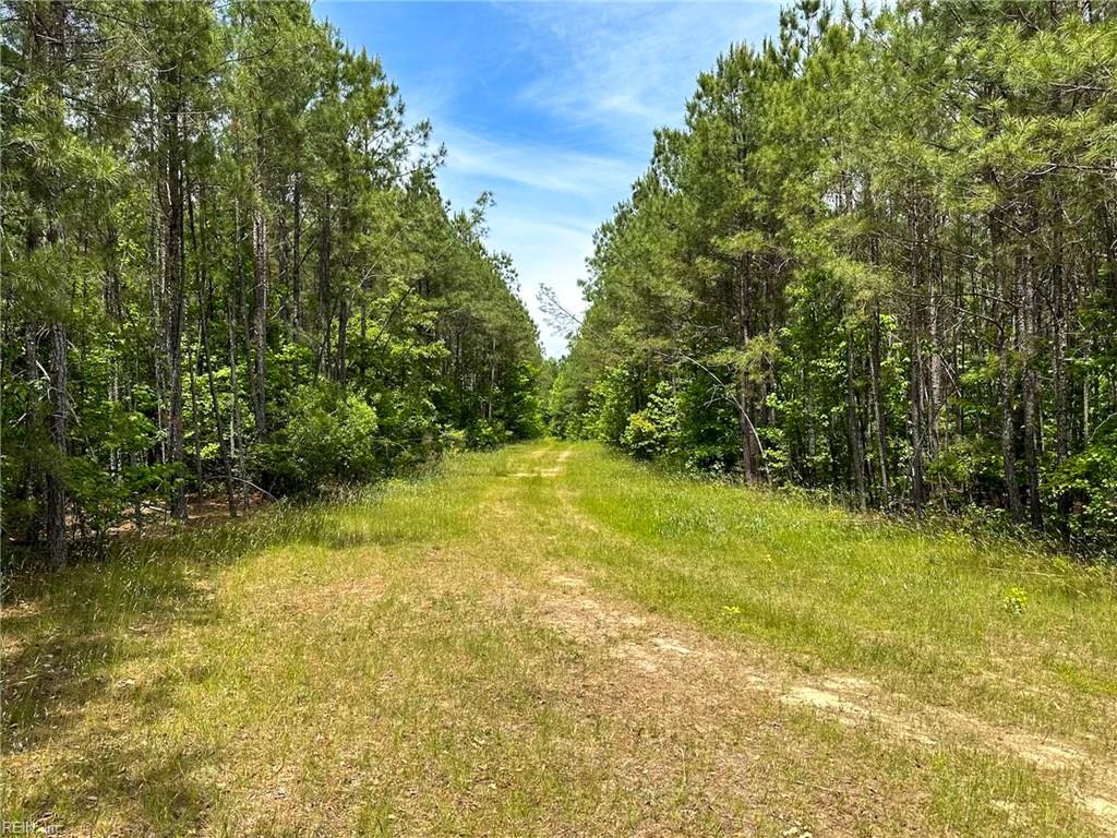 145ac Moore's Ferry Rd Property Photo 27