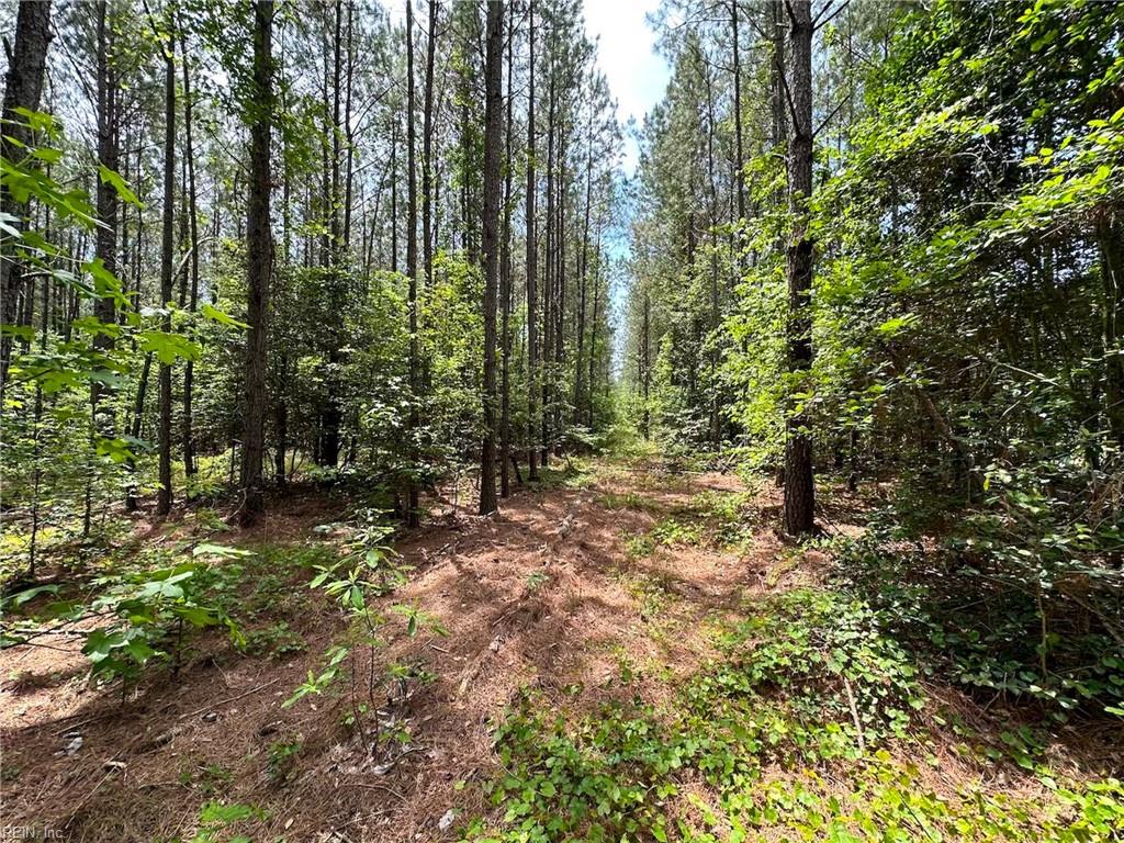 145ac Moore's Ferry Rd Property Photo 30
