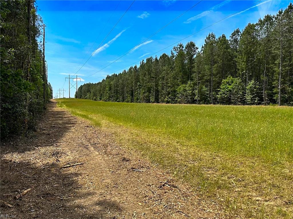 145ac Moore's Ferry Rd Property Photo 33