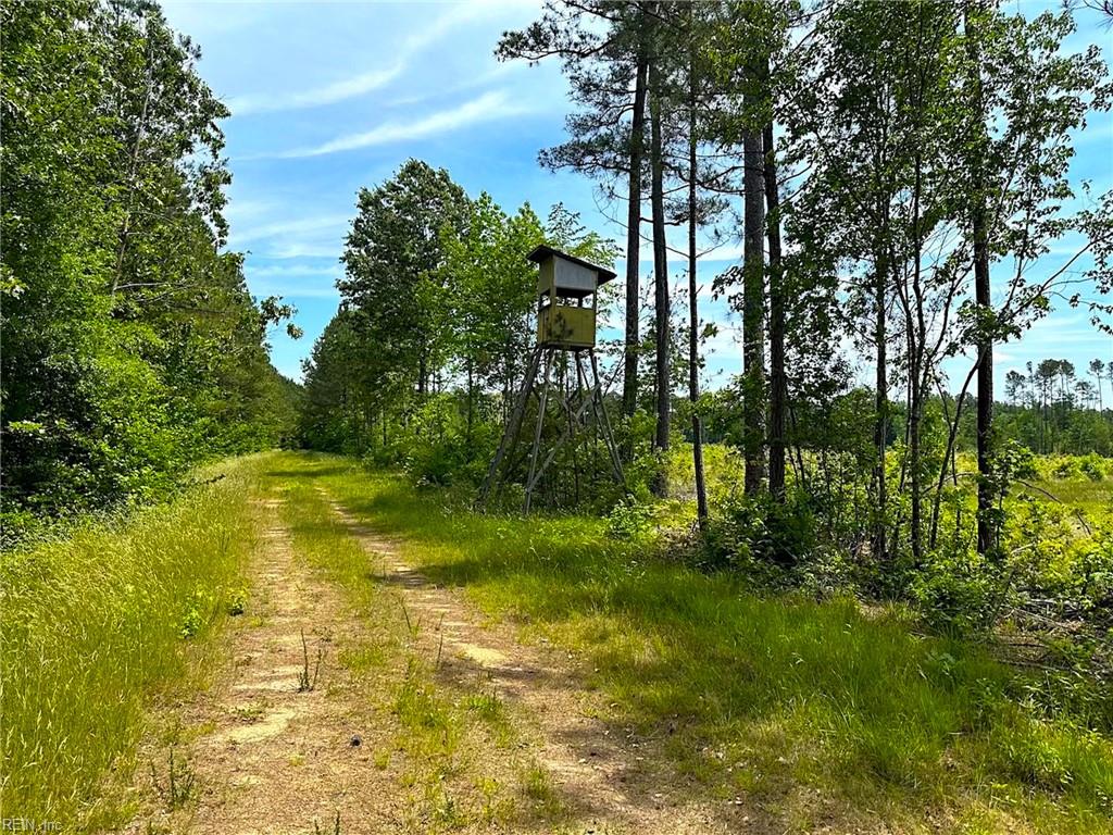 145ac Moore's Ferry Rd Property Photo 34