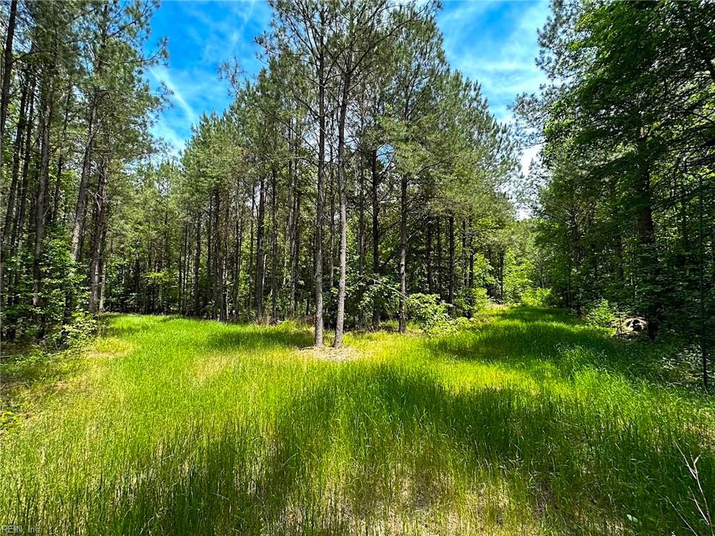 145ac Moore's Ferry Rd Property Photo 35