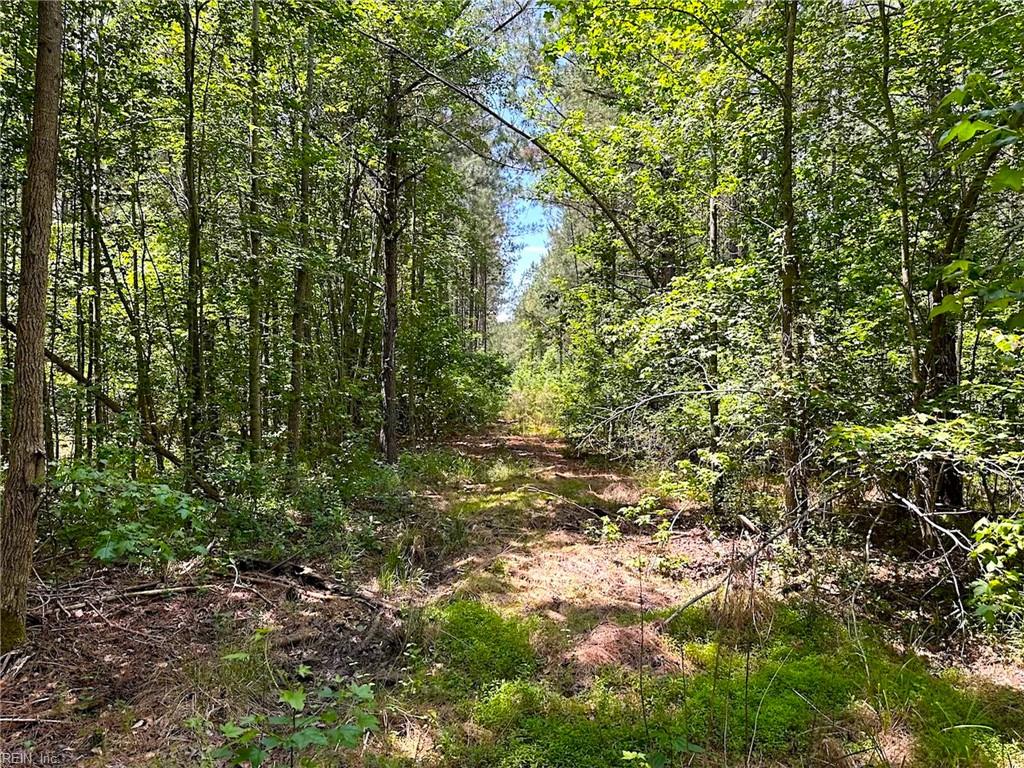 145ac Moore's Ferry Rd Property Photo 36