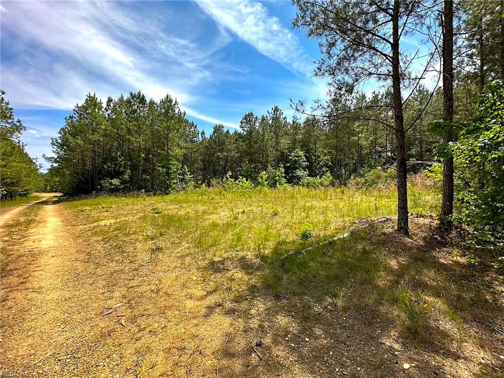 145ac Moore's Ferry Rd Property Photo 37