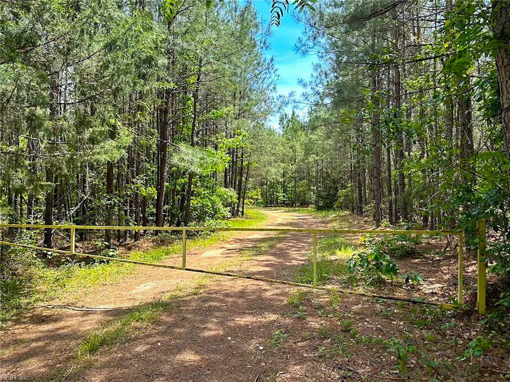 145ac Moore's Ferry Rd Property Photo 38