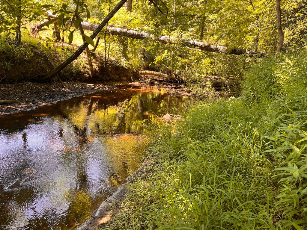 229 Ac Moores Ferry Rd Property Photo 5