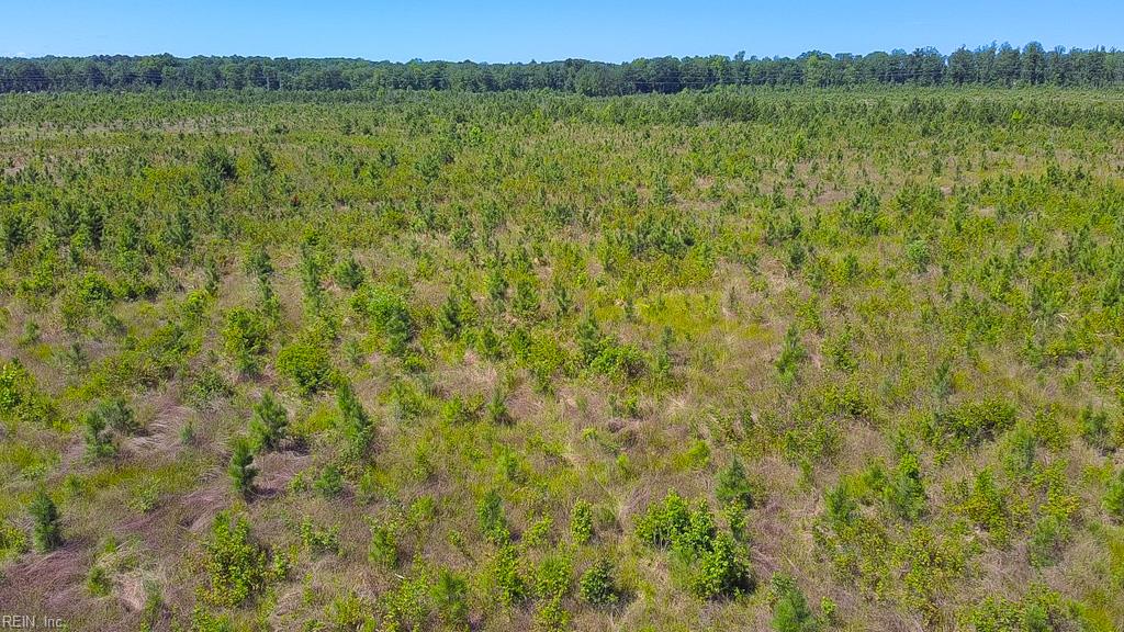 229 Ac Moores Ferry Rd Property Photo 10