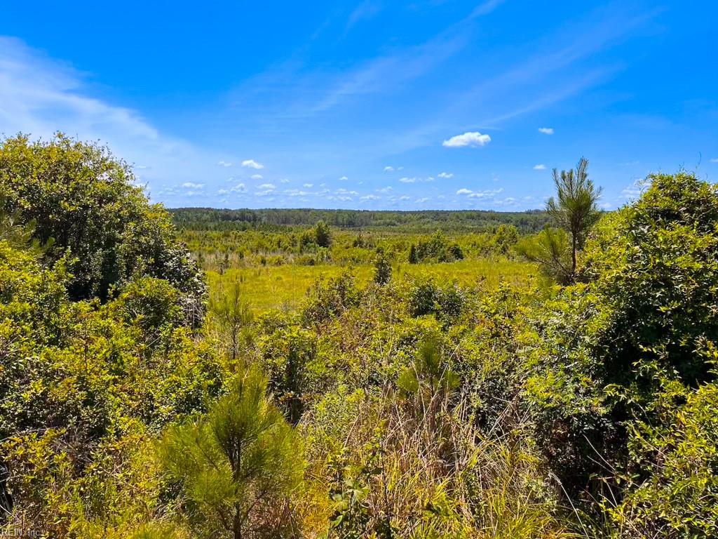 229 Ac Moores Ferry Rd Property Photo 11