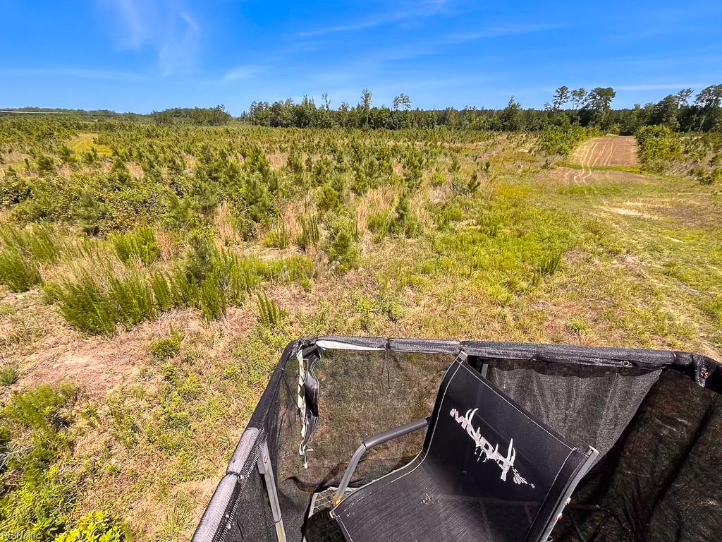 229 Ac Moores Ferry Rd Property Photo 12