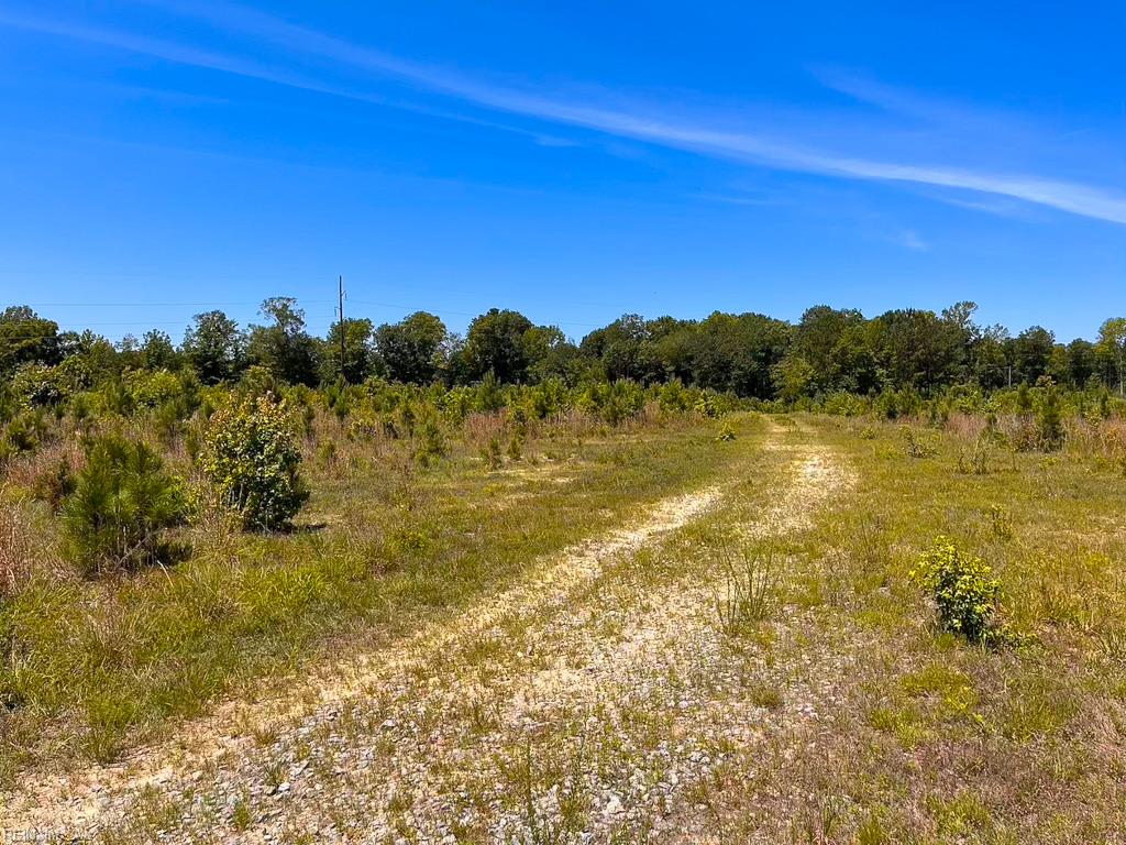 229 Ac Moores Ferry Rd Property Photo 15