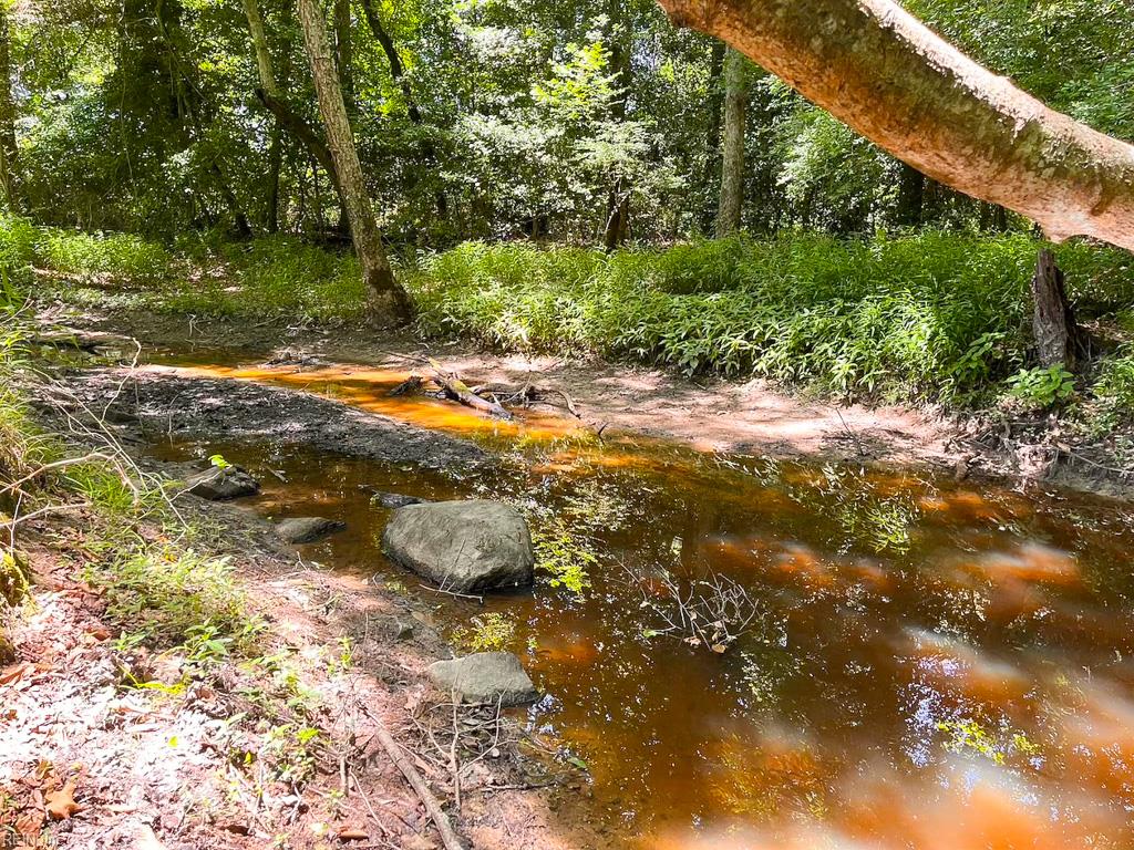 229 Ac Moores Ferry Rd Property Photo 18