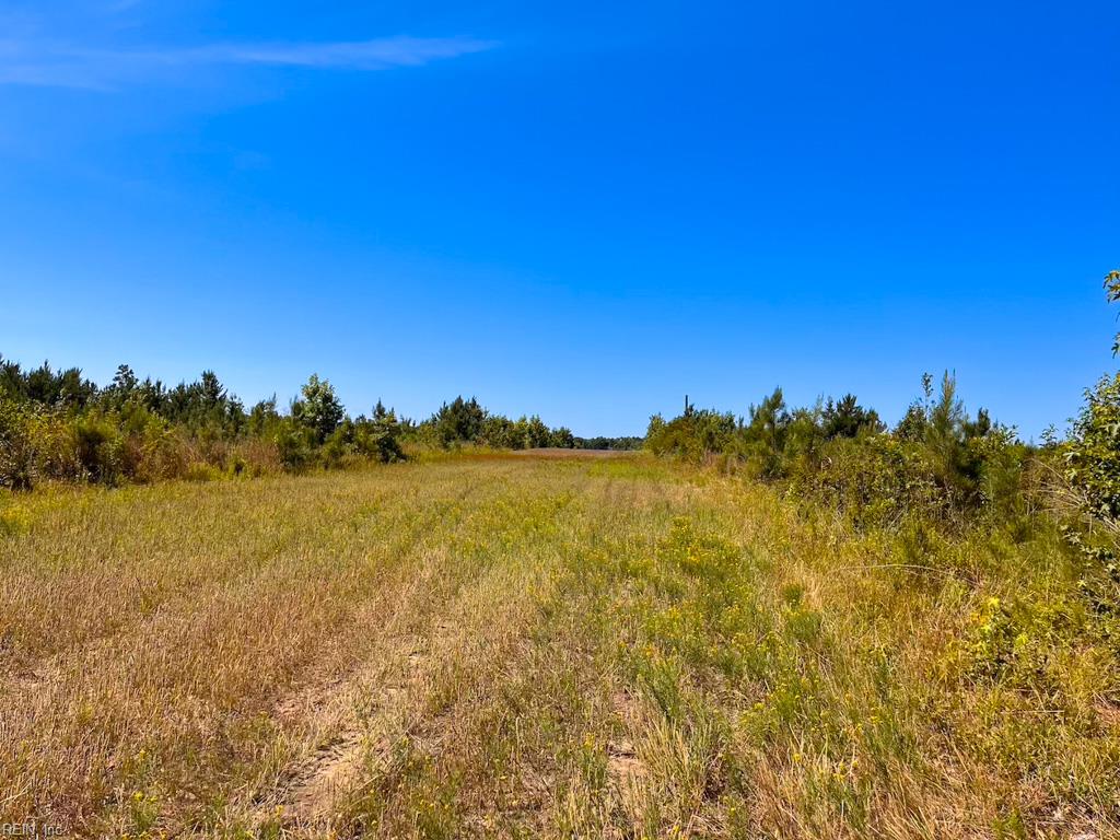 229 Ac Moores Ferry Rd Property Photo 19