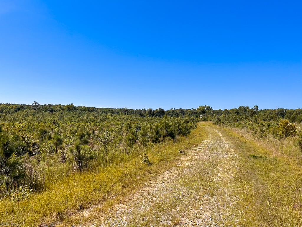 229 Ac Moores Ferry Rd Property Photo 21