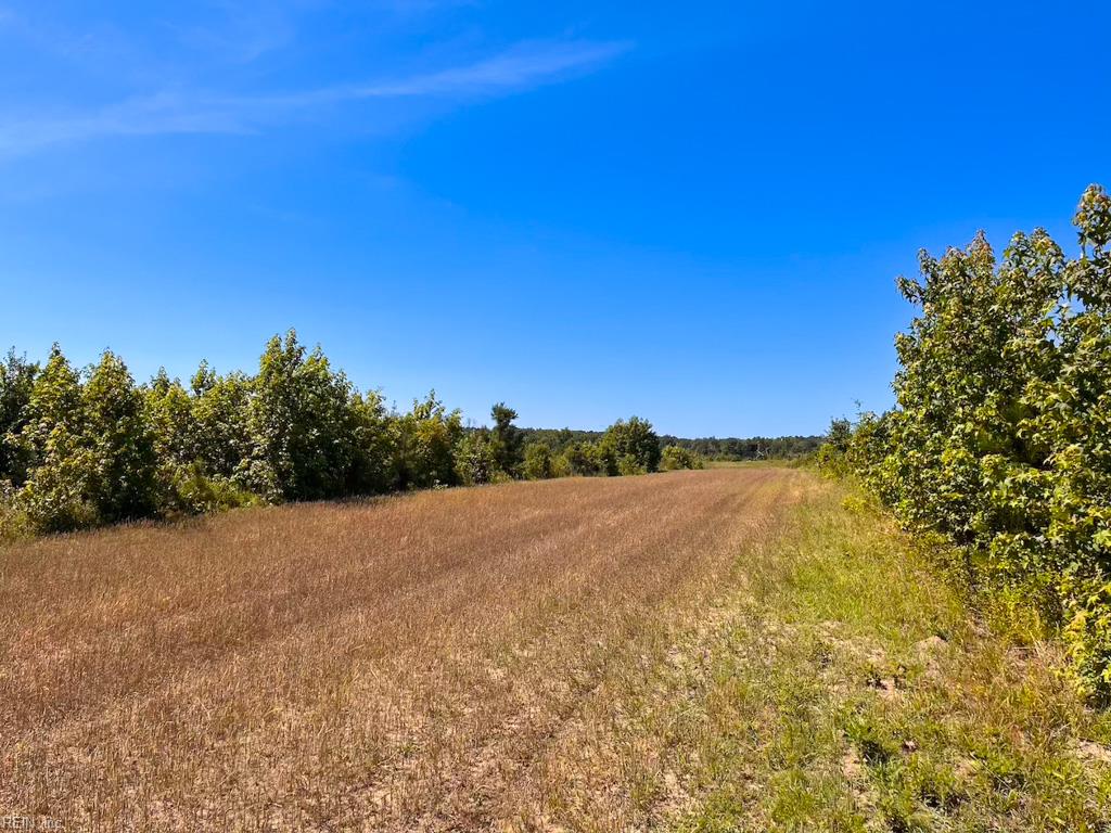 229 Ac Moores Ferry Rd Property Photo 27