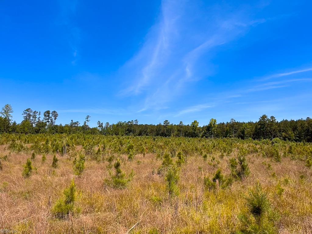 229 Ac Moores Ferry Rd Property Photo 29