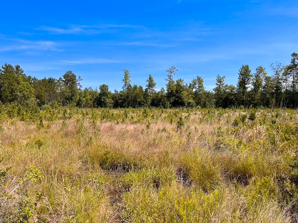 229 Ac Moores Ferry Rd Property Photo 33