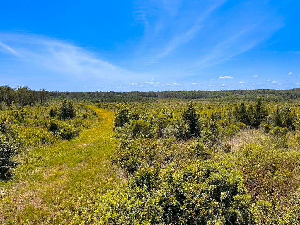 229 Ac Moores Ferry Rd Property Photo 35