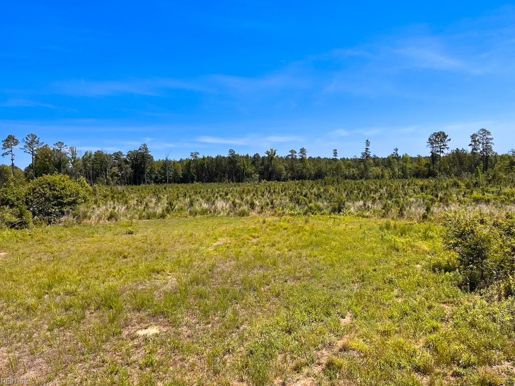 229 Ac Moores Ferry Rd Property Photo 38