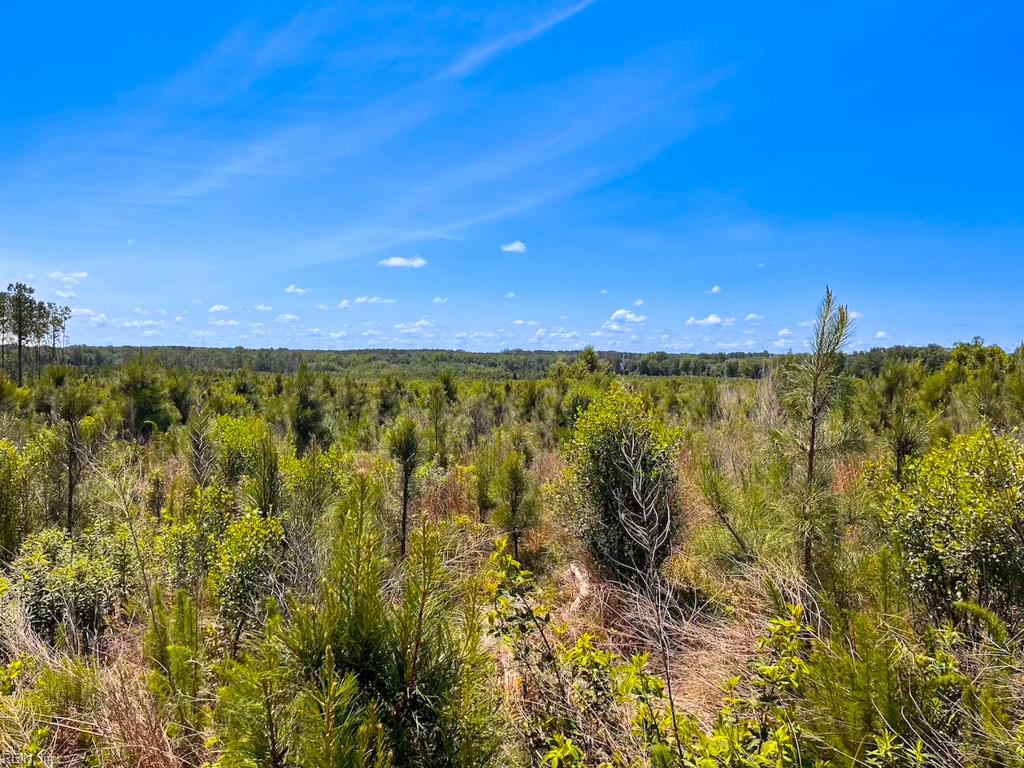 229 Ac Moores Ferry Rd Property Photo 43