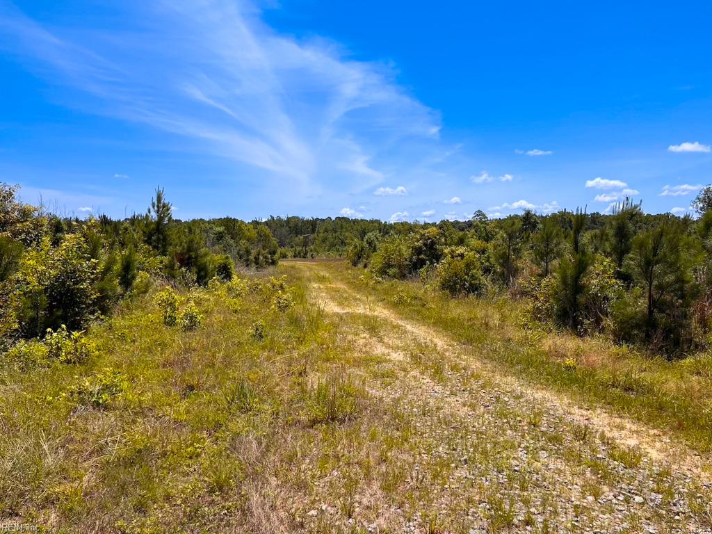 229 Ac Moores Ferry Rd Property Photo 44