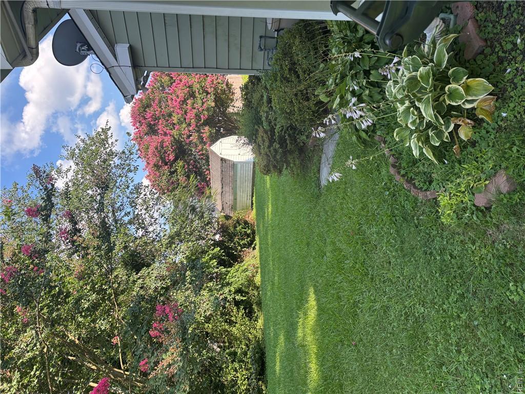 1118 Pike St Property Photo 6