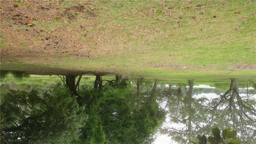 276 Harris Creek Rd Property Photo 12