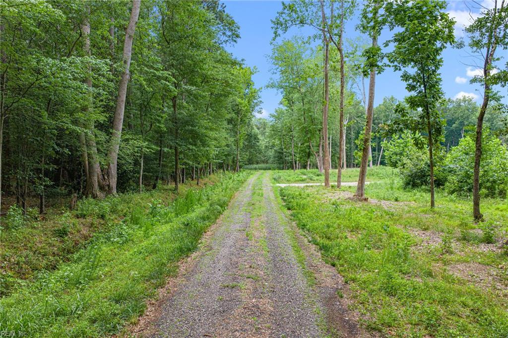 5.89ac Five Gables Woodlands Property Photo 2