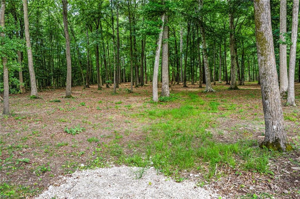5.89ac Five Gables Woodlands Property Photo 4