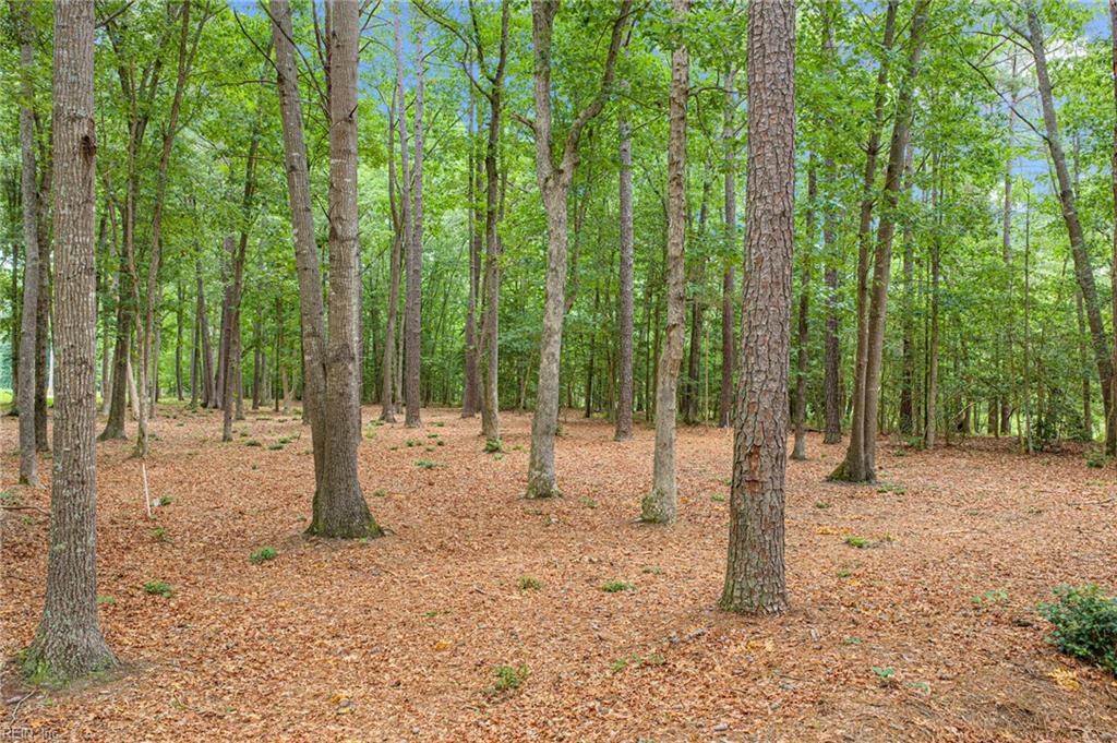 5.89ac Five Gables Woodlands Property Photo 5
