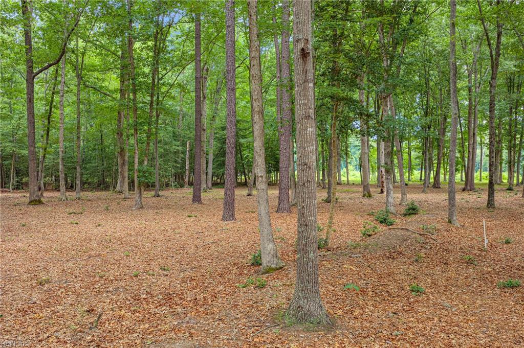 5.89ac Five Gables Woodlands Property Photo 6