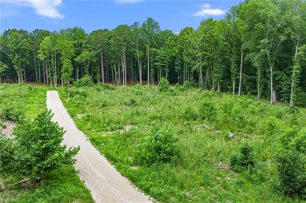 5.89ac Five Gables Woodlands Property Photo 11