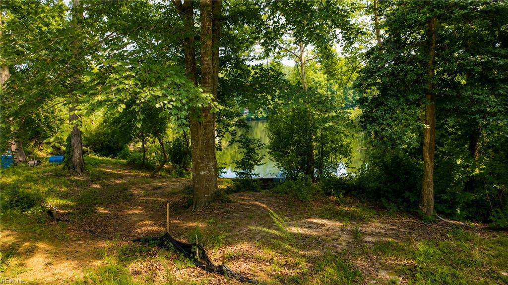 0 Haynes Pond Way Property Photo 2