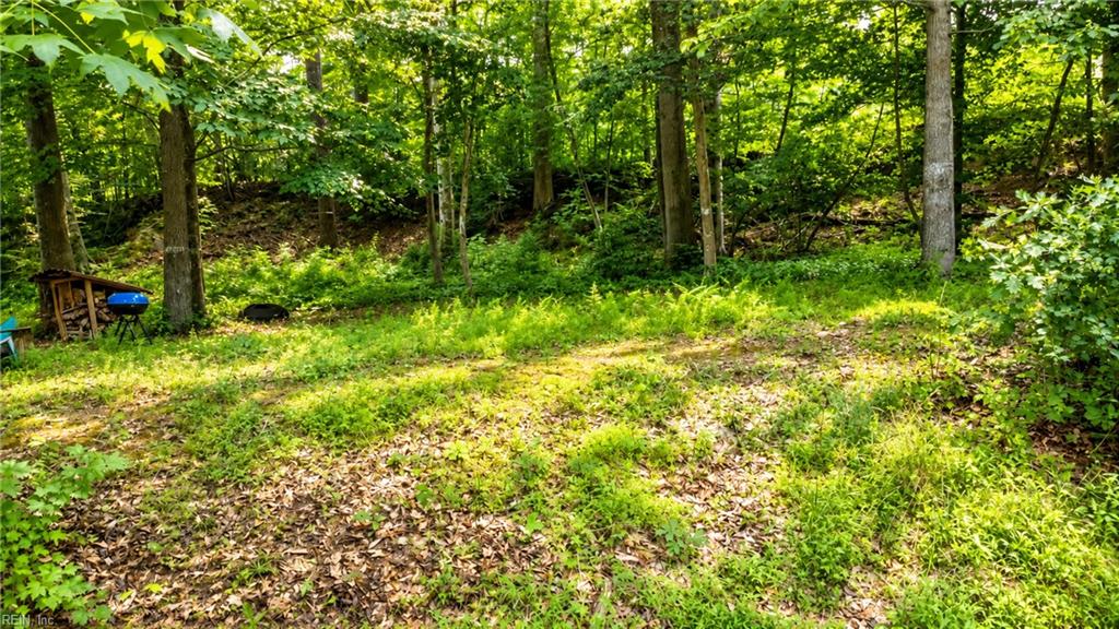 0 Haynes Pond Way Property Photo 8