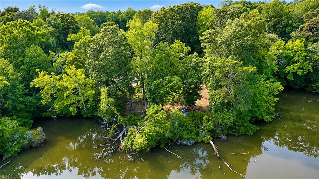 0 Haynes Pond Way Property Photo 17