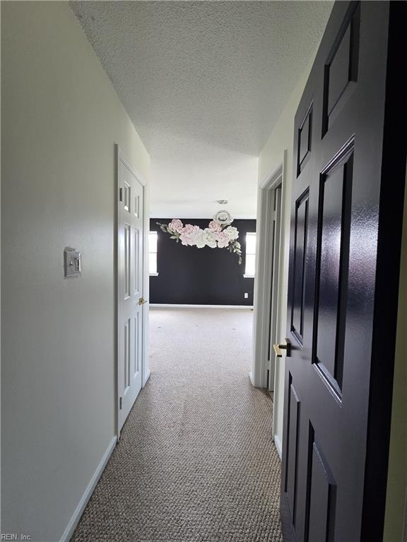 101 Hampstead Ct Property Photo 22