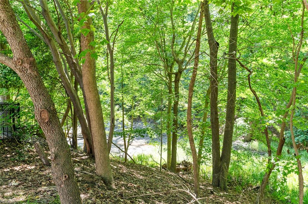 111 Millers Cove Rd Property Photo 21