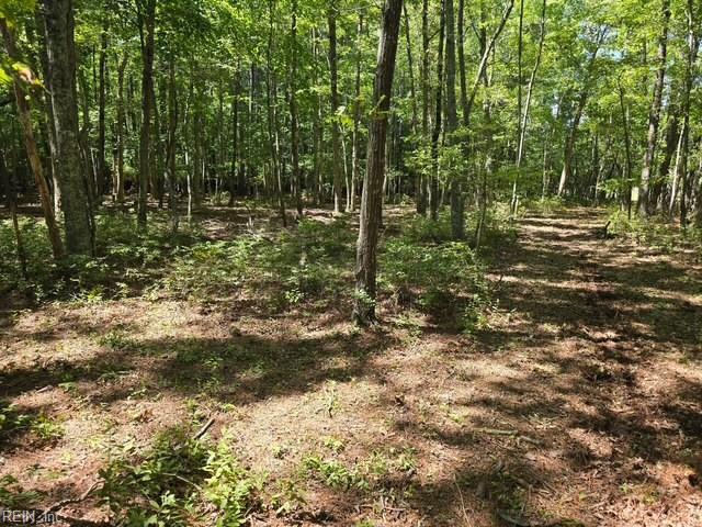 13630 Woodside Ln Property Photo 17
