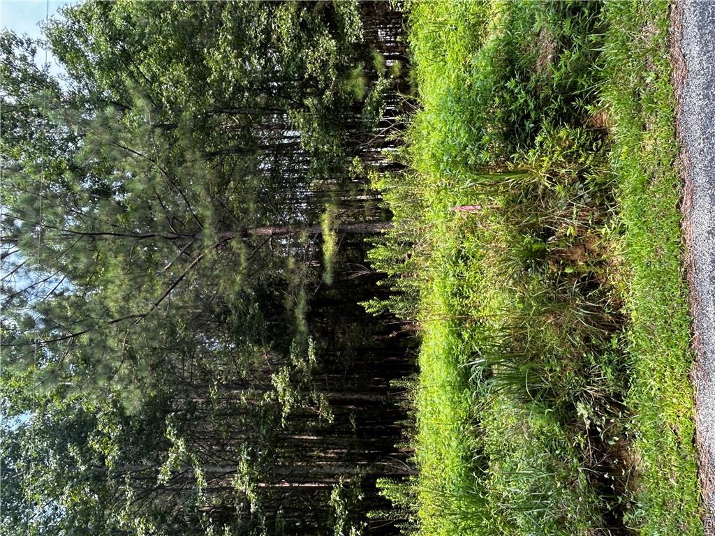 42.99 Willis Rd Property Photo 9