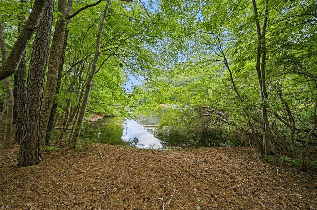 26211 Hanging Tree Rd Property Photo 4