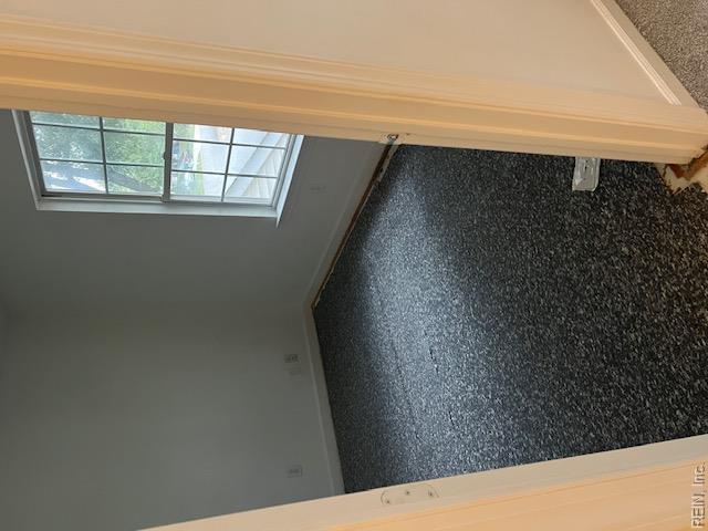 224 Springbrook Ln Property Photo 27