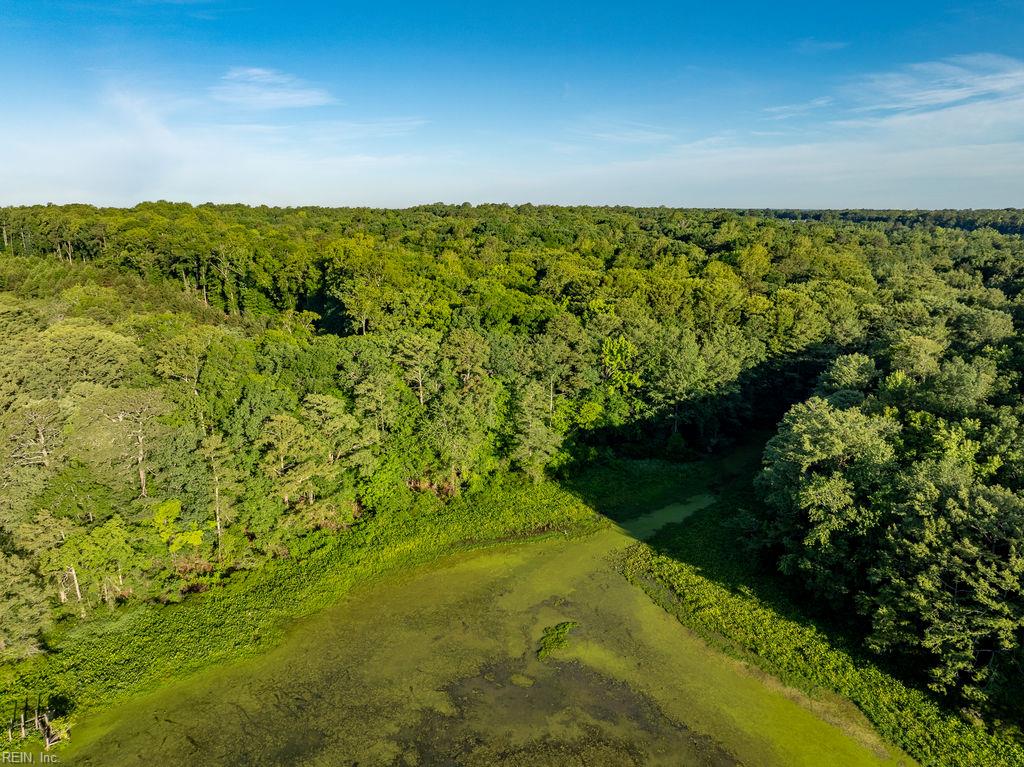 2425 Jolly Pond Rd Property Photo 2