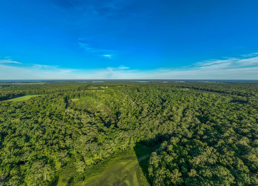 2425 Jolly Pond Rd Property Photo 4