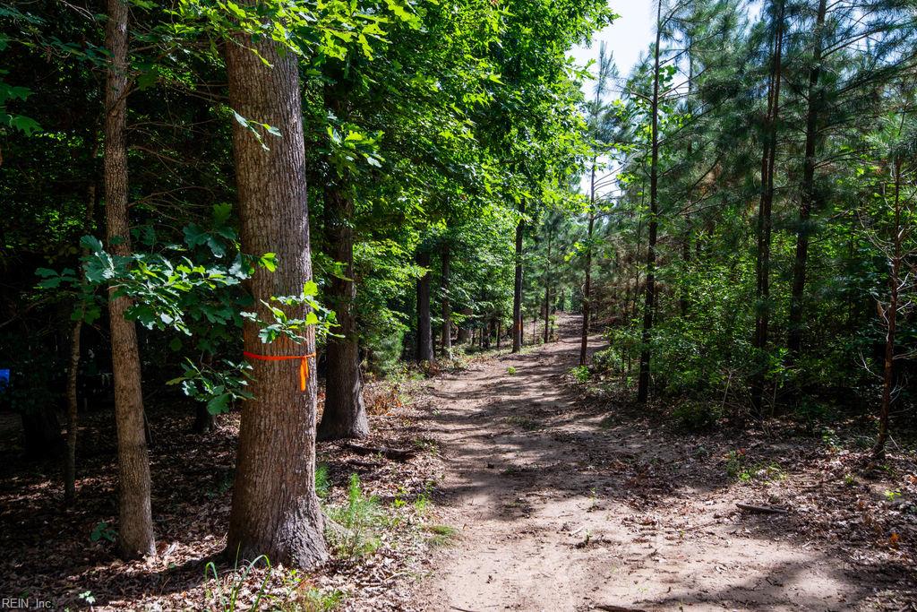 2425 Jolly Pond Rd Property Photo 6