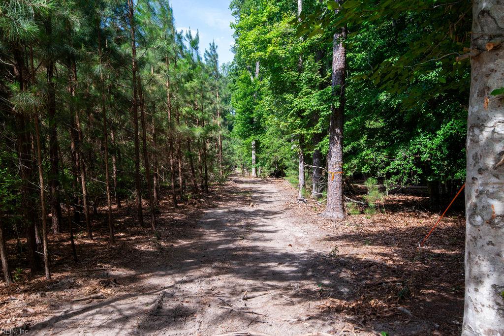 2425 Jolly Pond Rd Property Photo 7