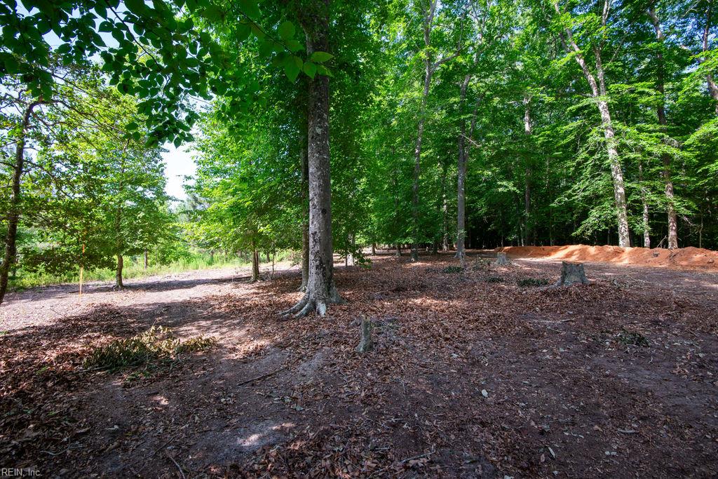 2425 Jolly Pond Rd Property Photo 10