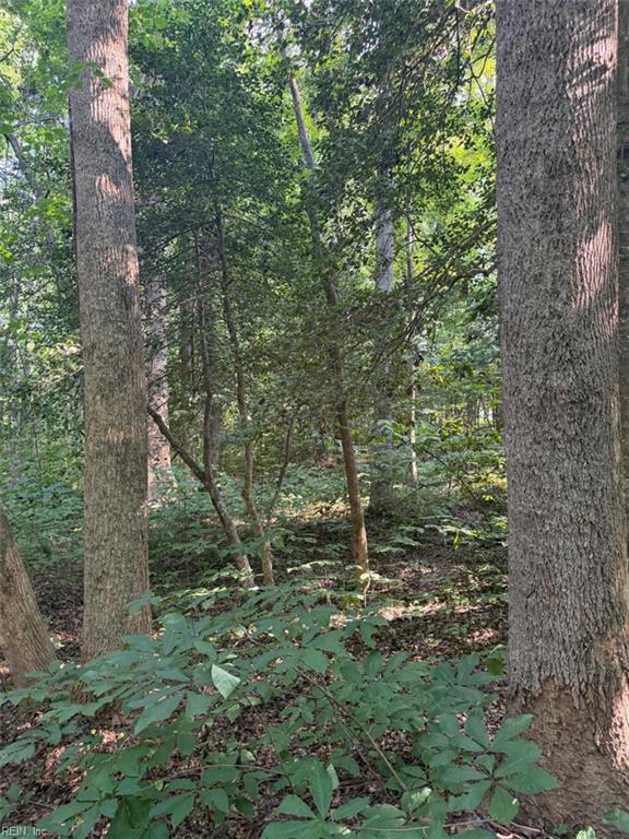 1.27ac Ware St Property Photo 3