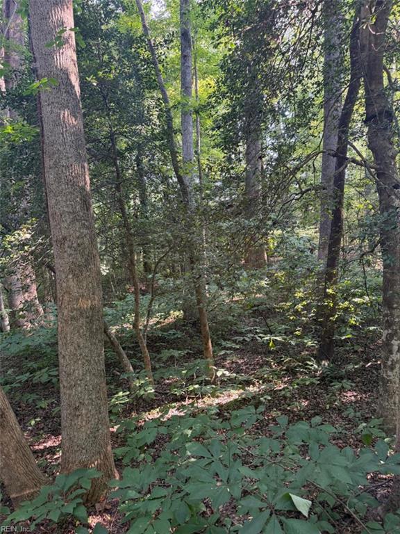 1.27ac Ware St Property Photo 5
