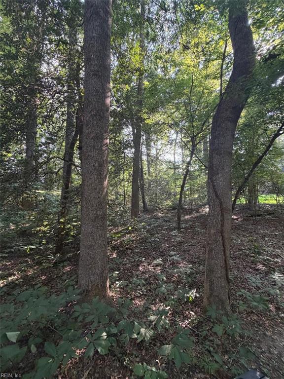 1.27ac Ware St Property Photo 7