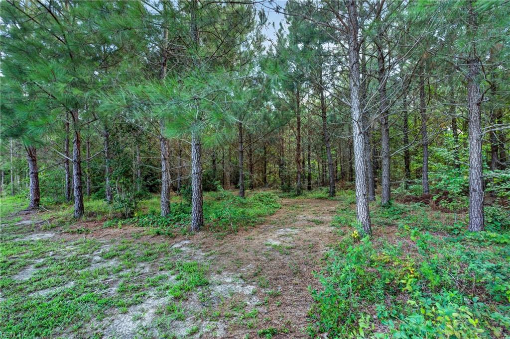 2508 Pittmantown Rd Property Photo 49