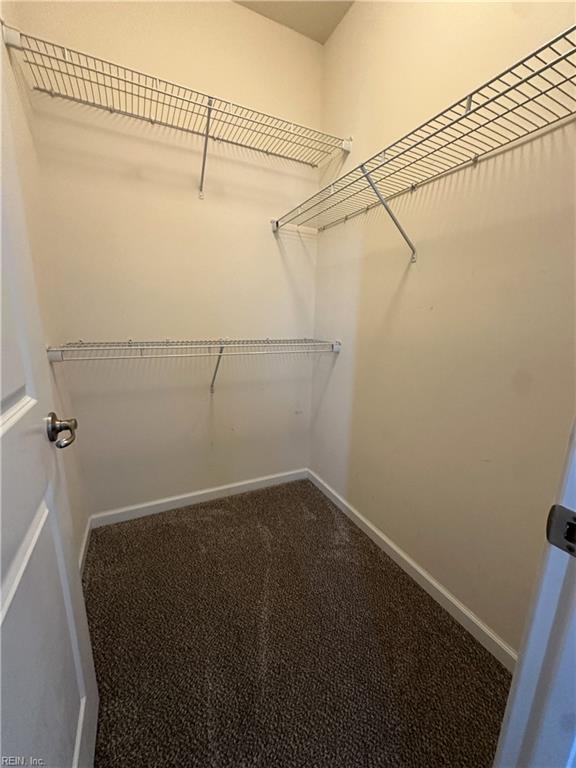 4376 Pickney Ln Property Photo 22